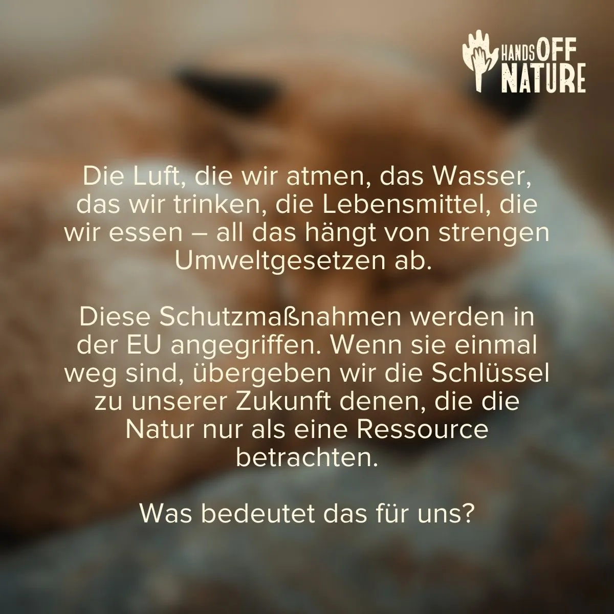 Die Luft, die wir atmen, das Wasser, das wir trinken, die Lebensmittel die wir essen – all das hängt von strengen Umweltgesetzen ab. Diese Schutzmaßnahmen werden in der EU angegriffen. Wenn sie einmal weg sind, übergeben wir die Schlüssel zu unserer Zukunft denen, die die Natur nur als eine Ressource betrachten was bedeutet das für uns?